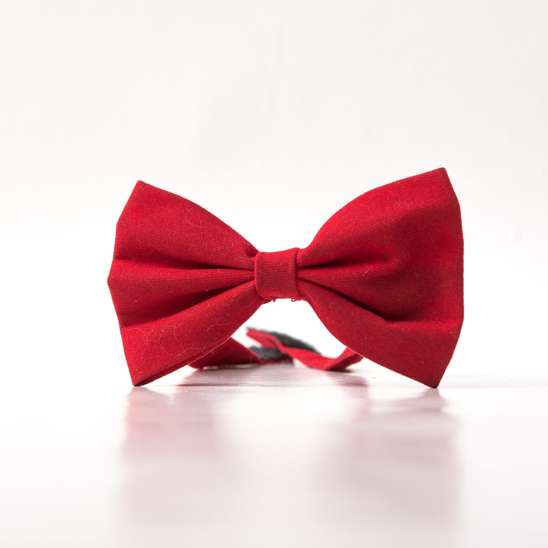 forlænge Skur Næb Red velvet butterfly Bow tie – EL Tarzy