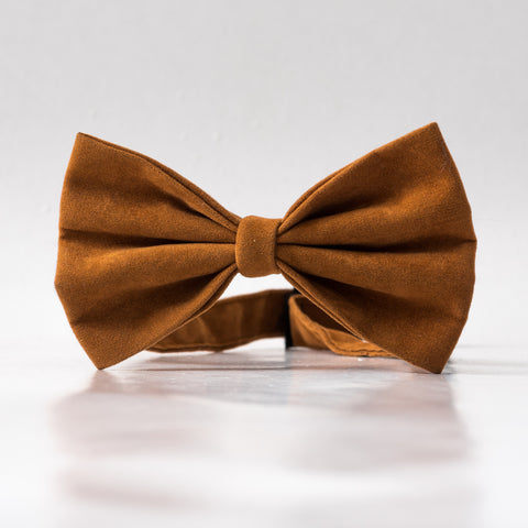 Bronze velvet butterfly Bow tie